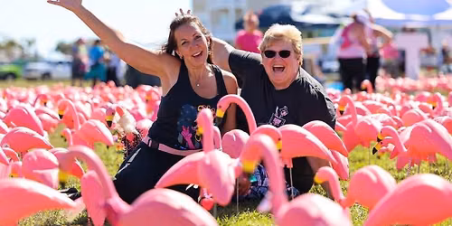 Pledge the Pink 2026