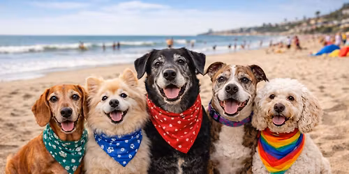 Lionel's Legacy 14 Year Anniversary Pawty!