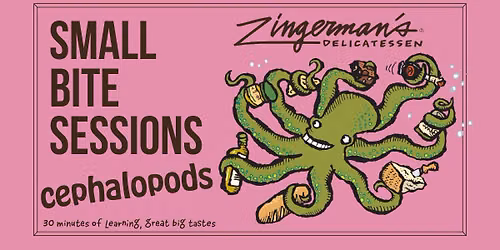 Small Bite Sessions: Cephalopods