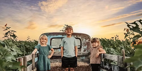 Sunflowers & Sunsets