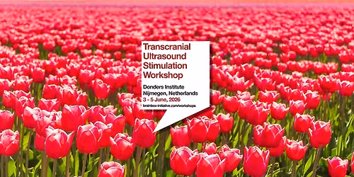 Transcranial Ultrasound Stimulation Workshop