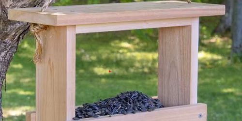 Build a Bird Feeder