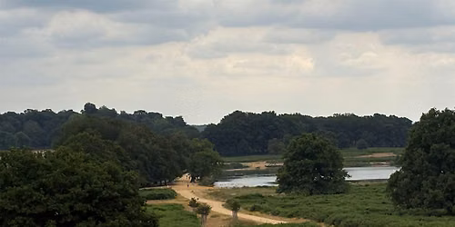Sunday walk-Richmond Park, The White Lodge and Victoria Riverside