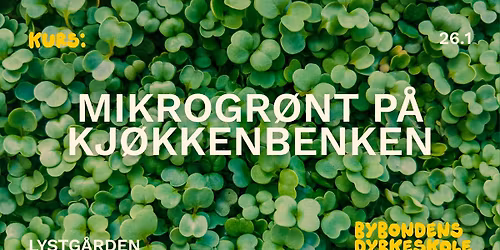 Mikrogr\u00f8nt p\u00e5 kj\u00f8kkenbenken \ud83d\udc9a Bybonden i Bergen