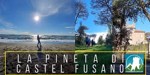 La Pineta di Castel Fusano