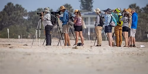 Shorebird Stroll