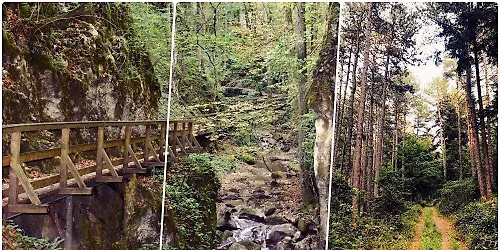 Social Hike XL: John's Creek Canyon