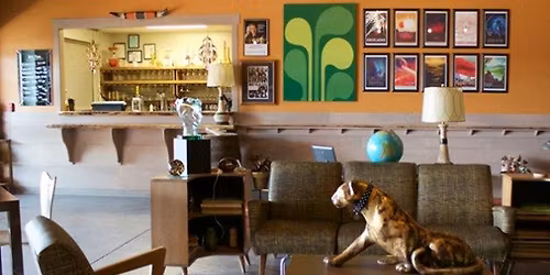 Spring City Cycling Club 2025 Christmas party