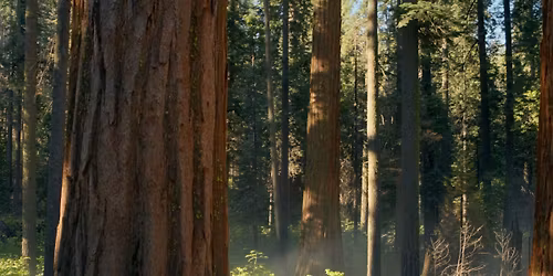Halloween truck or treat