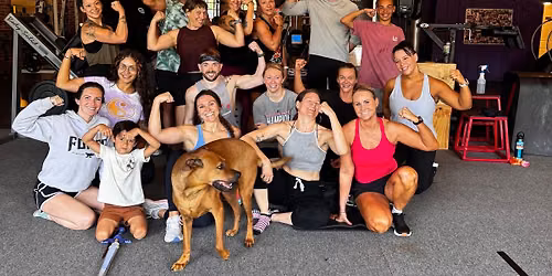 FREE BOOTCAMP