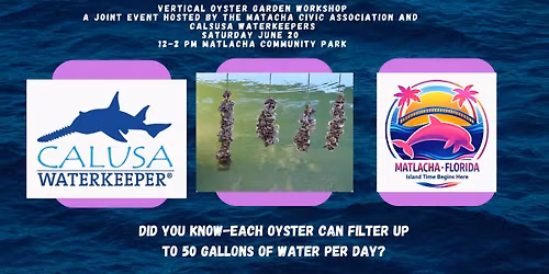 Vertical Oyster Garden Workshop