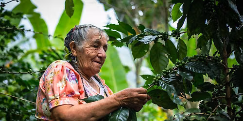 Coffee 101: Everything You Didn't Know You Needed to Know About Coffee