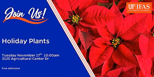 Holiday Plants