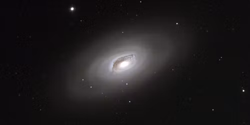 Black Eyes at Thalia Hall