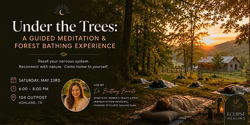 Under the Trees: A Guided Meditation & Forest Bathing Experience