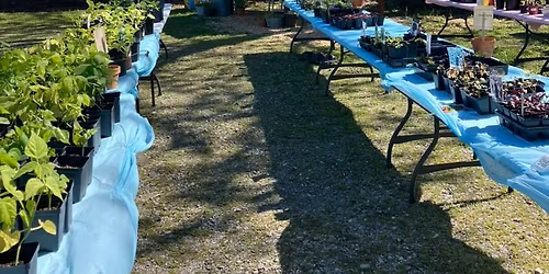 Flower Child Maysville Plant Sale Kickoff