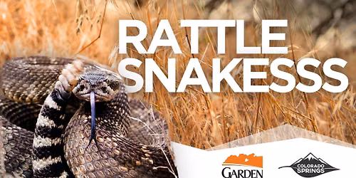 Rattlesnakesss