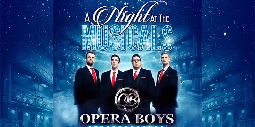 The Opera Boys - A Night at the Musicals