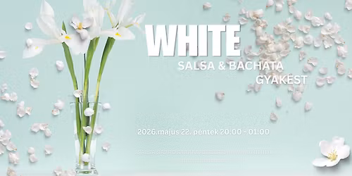 White salsa & bachata gyakest Veszpr\u00e9mben 