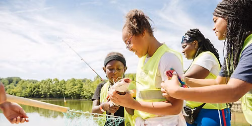 Fishing for Beginners