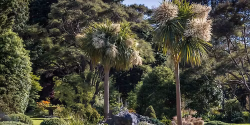 🎉🐇 You’re Invited: The Opening of Dead Rabbits Run! 🐇🎉