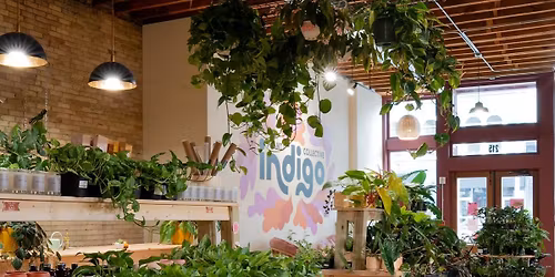 \ud83e\udeb4Urban Forest Bathing + Nidra Mediation @ Indigo Plant Collective - $20