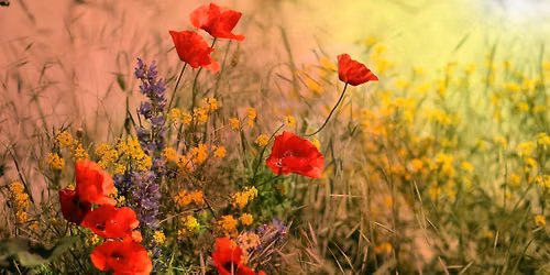 "Flower Ceremony" by Rev. Ralph Tyksinski
