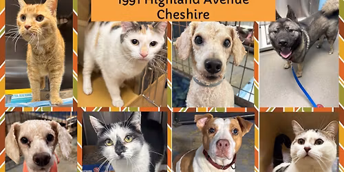 Adoption Event and Pet Food Drive