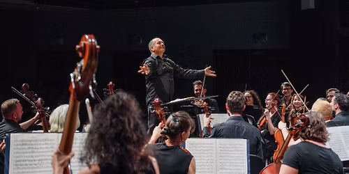 Symphony of the Soul