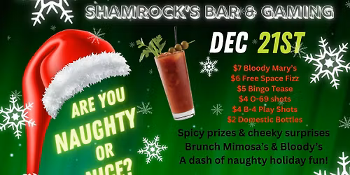 Are you Naughty or Nice Bingo!