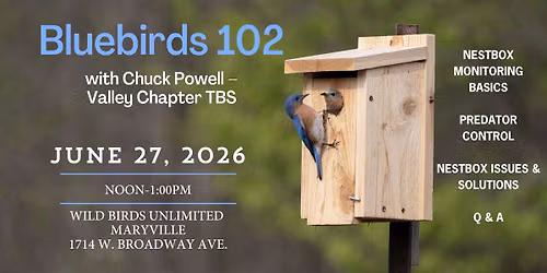 Bluebirds 102