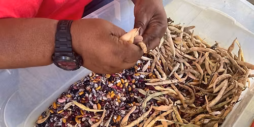 Seed Saving 101: Garden Demo Day