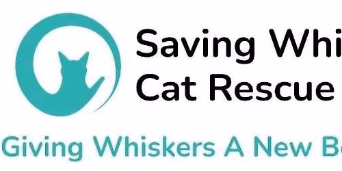 Saving Whiskers Dart Tournament Fundraiser