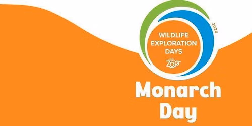 Wildlife Exploration Day | Monarch Day