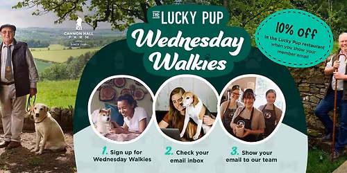 Wednesday Walkies - Social Club For Dogs (The Lucky Pup)