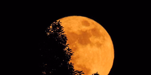 Full Moon: After Hours at the Reservoir
