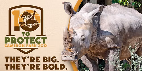 World Rhino Day