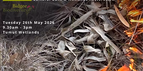 Igniting Biodiversity 