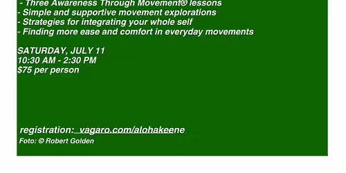 Functional Mobility- Feldenkrias Method