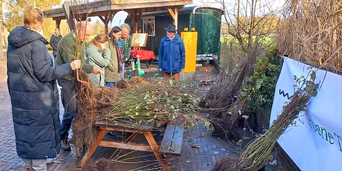 (fruit)boom uitdeeldag