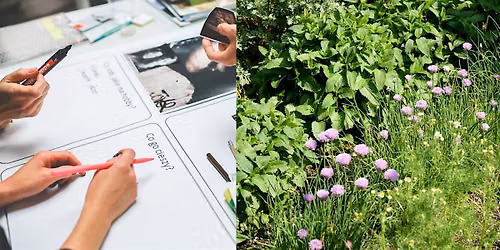 Gather & Grow: Ground Visioning for Lewisham RNP2 Plot