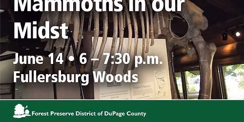 Mammoths in Our Midst