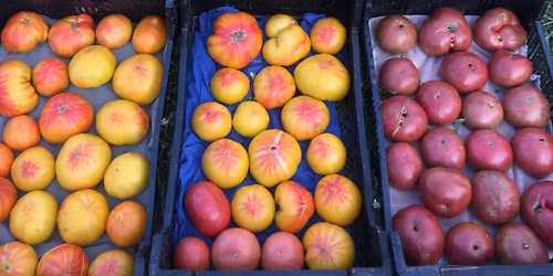 Vendor meeting and WIC\/SrFMNP training