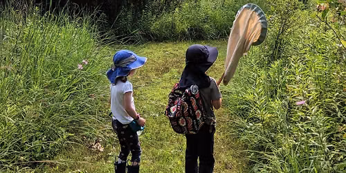iNaturalist Training and Community BioBlitz