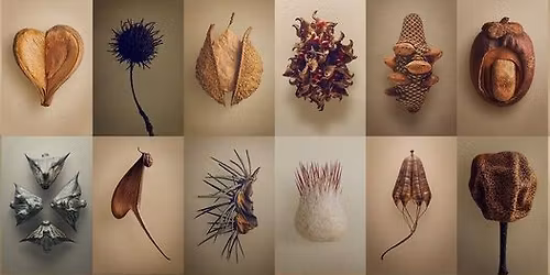 MAGCSERE - KERTI SZERSZ\u00c1MB\u00d6RZE -