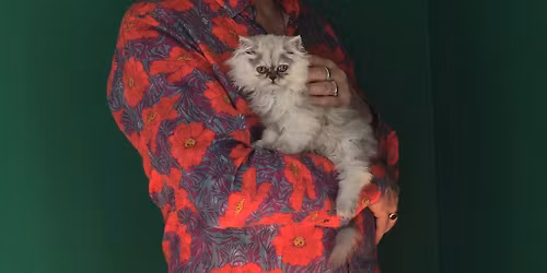 Robyn Hitchcock