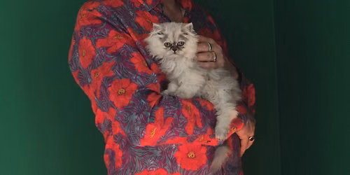 Robyn Hitchcock