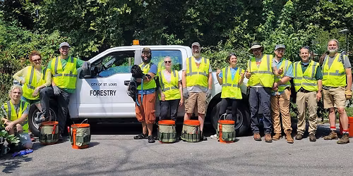 Benton Park West Tree Care Blitz