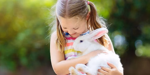 Little Critters Traveling Petting Zoo