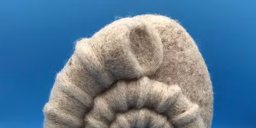 \u00a320 Needlefelt an Ammonite